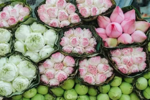 Ảnh: Dinhminh15