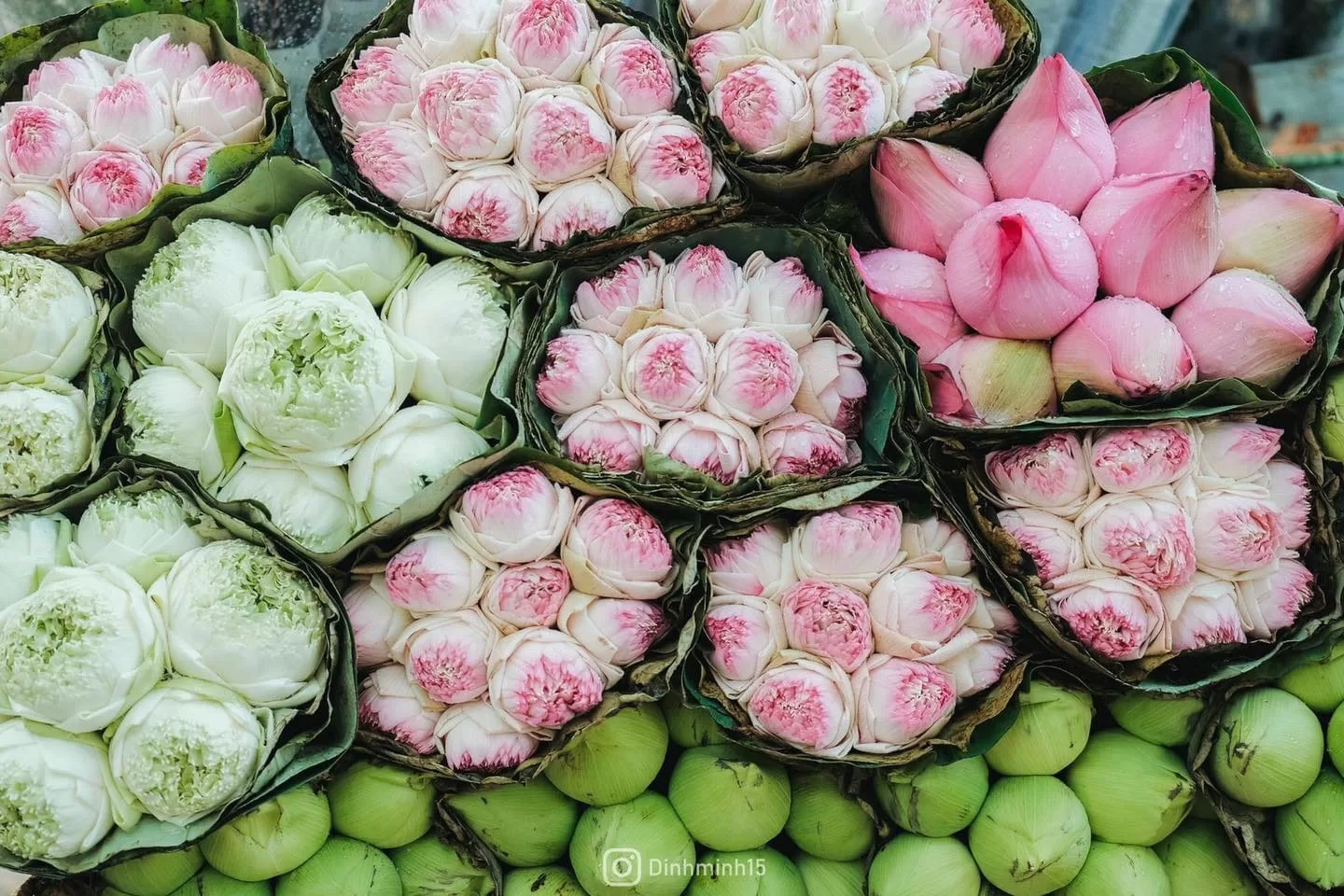 Ảnh: Dinhminh15